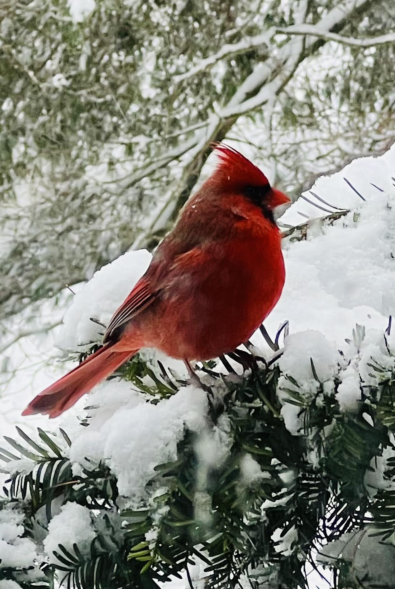 Navigate to this Product's page