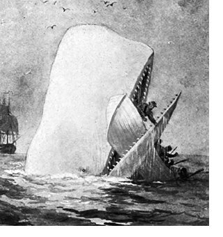 Navigate to this Product's page