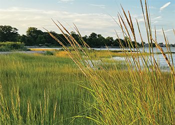 Navigate to this Product's page