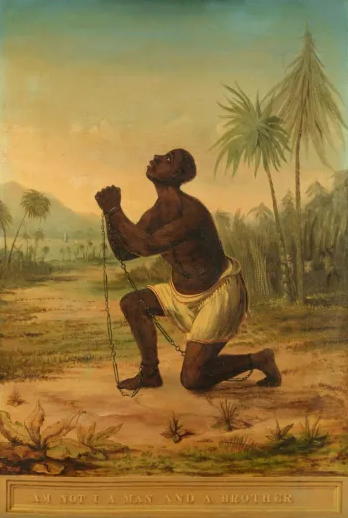 Navigate to this Product's page