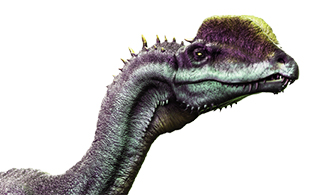 Navigate to this Product's page