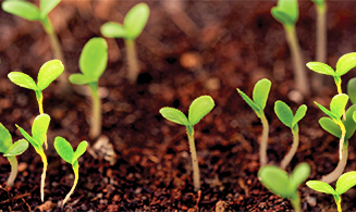 Navigate to this Product's page